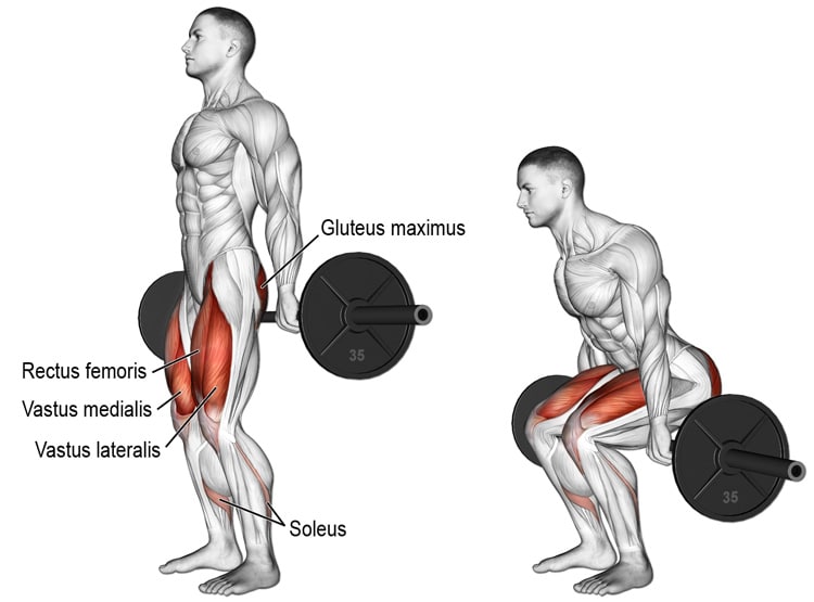 barra-hack-squat