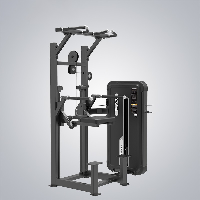 Wholesale Wholesale Machine For Leg Press – Dip Chin Assist E3009A