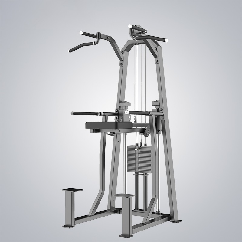 Wholesale Dip Chin Assist J3009 Manufacturer and Supplier | DHZ